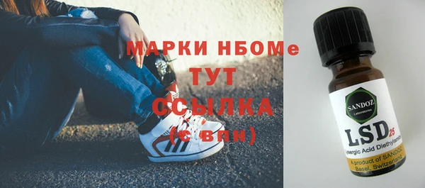 индика Алзамай