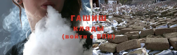 индика Алзамай