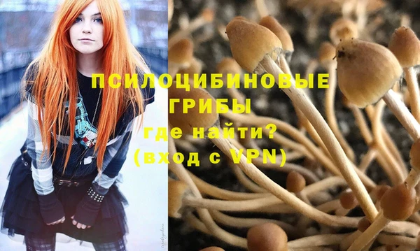 индика Алзамай