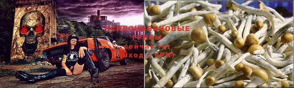 герыч Абдулино