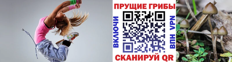 Галлюциногенные грибы ЛСД  Нерехта 